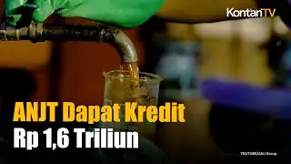 Austindo Nusantara Jaya (ANJT) Kantongi Fasilitas Kredit Rp 1,6 Triliun dari BCA | KONTAN News