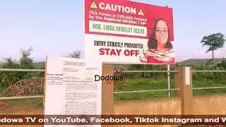 Dodowa Forest fencing project halted after court injunction