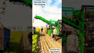 Awesome Turnip, radish, carrot and tuber crop harvester with high quality efficiency