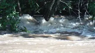 Stony Brook Flooded 2021