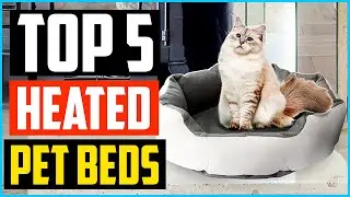 ✅Top 5 Best Heated Pet Beds in 2024 Reviews