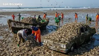 Invasive Blue Crab Takeover: How America Lost Its Waters to a $600 Million Menace