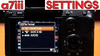 BEST a7iii VIDEO Settings &ndash; Sony a7iii Complete Setup Guide for CINEMATIC Video