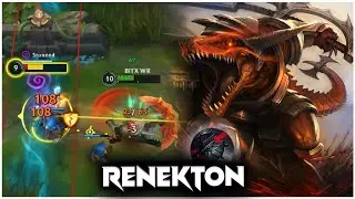 RENEKTON VS SETT IN BARONLANE(BUILD + RUNES) WILDRIFT  |  BITX WR