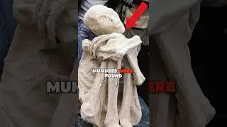 Joe Rogan Exposes 3 Fingered Alien Mummies In Peru #history #joerogan #jre #podcast #shorts