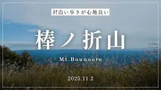 【登山】棒ノ折山｜白谷沢、あっという間だけど満足度は高かった。
