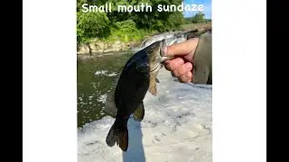 Small mouth sunday's 