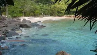 ... Remote beaches of Southern Brazil - Atlantic Rain Forest regions ...