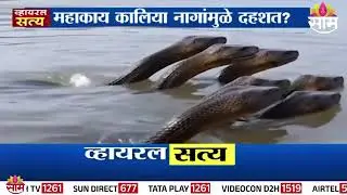 Yamuna nadi me Nikla KALIYA NAAG यमुना नदी में निकला है कालिया नाग 😱😱😱😱😱😱