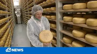 California cheese maker finds purpose during pandemic by donating its award-winning products