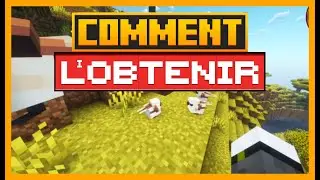Comment apprivoiser Shima Inaga dans Minecraft avec Critters and Companions