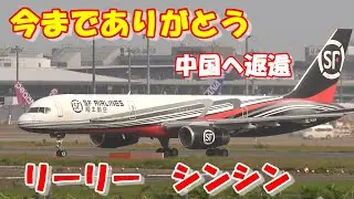 【13年間ありがとう　リーリーとシンシン　中国へ返還】2024.09.29 ４K撮影　NARITA　Airport 成田空港　SF　Airlines  B 757  B-7689 リーリー　シンシン