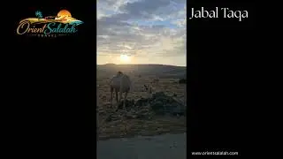 Jabal Taqa