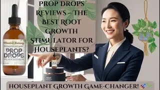 Prop Drops Reviews &ndash; The Best Root Growth Stimulator for Houseplants
