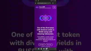 FOREVER BNB Token Introduction BEP20 dividend yields REBASING Tokenomics paid in BUSD 7% from 10%