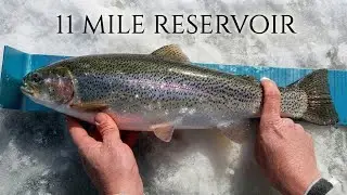 He Hooked a BEAST! Giant Eleven Mile Reservoir Rainbow Trout