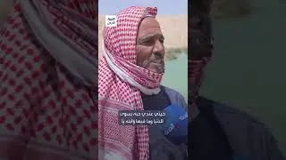 ١٧ مايو ٢٠٢٥