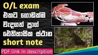 O/L ප්‍රාග් ඓතිහාසික ස්ථාන short note එක | ඉතිහාසය | සාමාන්‍ය පෙළ