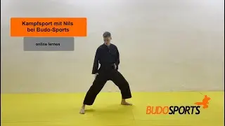 Budo Sports Einzeltechniken mit Nils Trailer01