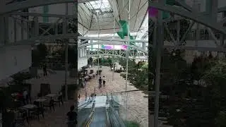 Secret Garden in a Shopping Mall?! 🌿✨ | The Hyundai Seoul Nature Spot