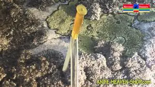 stromeng lapp knife