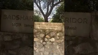 Badshapur Forest Corridor Gurgaon | बादशपुर कॉरिडोर गुड़गाँव | ￼Peaceful track in Gurgaon