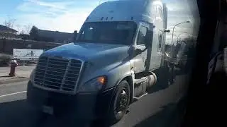 Translink: Route 410