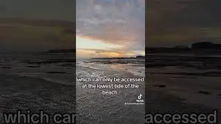 #amsterdam #ship #wreck #amsterdamshipwreck #love #history #tiktok #youtubeshorts #viral #sea #fyp