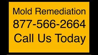 Mold Remediation Garland, TX - 877-566-2664 - Call us Today