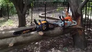 Poulan Pro PB5028 or Stihl MS271   Best chainsaw?