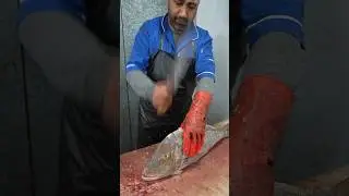 Huge Spangled Emperor Fish Fillet