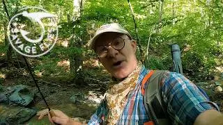 Fly Fishing Virginia's Waterfalls, Ep. 1 (Dark Hollow Falls)