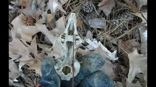 Field Takes Another Hit!