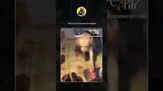 He let out the howl of despair    #casino #slot #roulette #slots #gamble #gambler #blackjack #parlay
