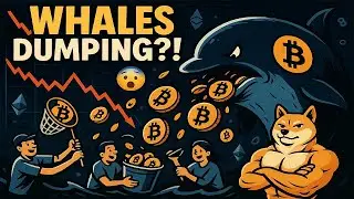 BITCOIN UNDER PRESSURE 🚨 ETF Outflows, Whale Dumping & MAXIDOGE Rising