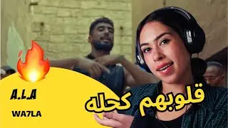 الرأي ورد الفعل ▷ A.L.A - WA7LA
