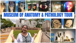 MAP MANIPAL TOUR | Museum of Anatomy and Pathology Manipal Tour | Nimisha Raizada