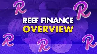REEF Finance - Project Overview
