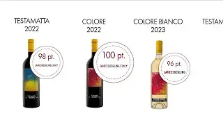 Marcello Meregalli - AD Gruppo Meregalli - Degustazione vini Bibi Graetz premiati da James Suckling