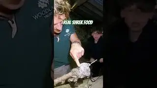 Shrek Munch #shrek #bushcraft #camping #spider #shrek5 #abandoned #web #shelter #survival #bothy
