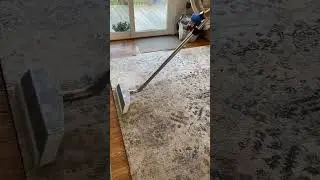 Professional Carpet Cleaning Service &ndash; Incredible Before & After!