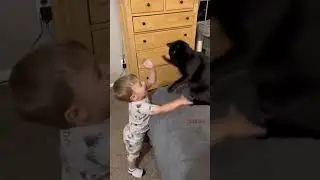 Funny moments of kitty and baby 😹#catmoments #catlover #catvsbaby