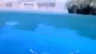Agency jump