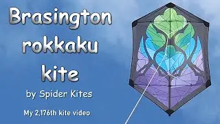 Beautiful Brasington Rokkaku Kite