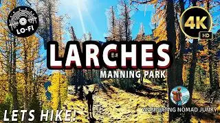 LETS HIKE! Hiking Mt. Frosty Trail: Discover Golden Larches & Fall Colors at Manning Park 2024!