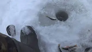 Окунь на безкивковую удочку