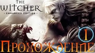 Прохождение➤The Witcher: Enhanced Edition➤Часть 1