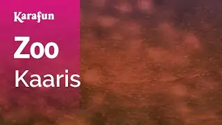 Zoo - Kaaris | Karaoke Version | KaraFun