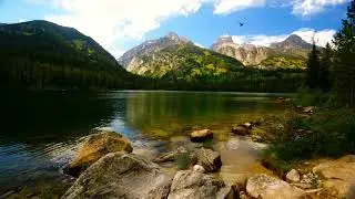 Dreams come true & RightMusic | 1 hour crystal piano music | meditation time | forest sounds
