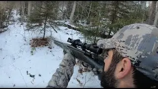 Big Buck Tracking in 4K
